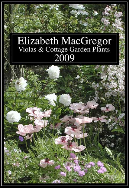Elizabeth MacGregor Nursery
